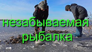 Ссылка
