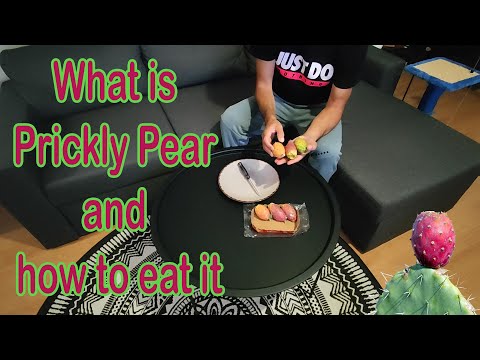Prickly pear - How to Cut, Peel and Eat Cactus Fruit