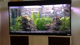 Download lagu Fluval roma 200 mp3 Download lagu Fluval roma 200 mp3