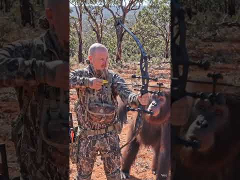 Hunting with the Pilliga yowie #australia #bowhunting #yowie