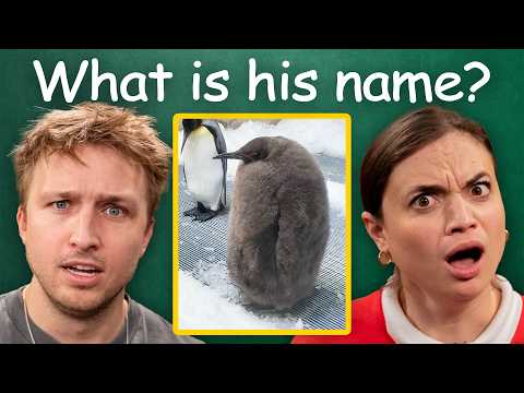 How Well Do We Remember 2024?