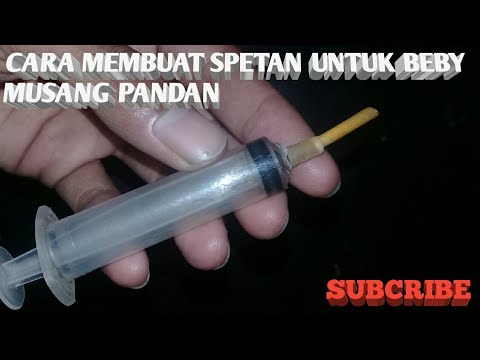 Apakah hepatitis mempengaruhi potensi Korespondensi dengan gadis itu untuk mengubah dirinya