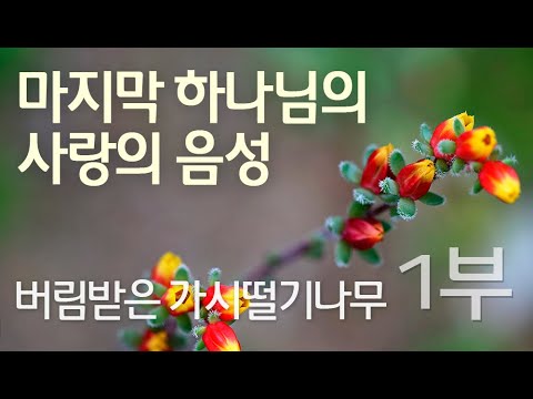 버림받은 가시떨기나무 - 1부