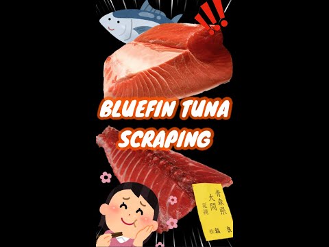 園芸 カリブ海のマグロ