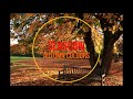 Glasgow Autumn Colours 2