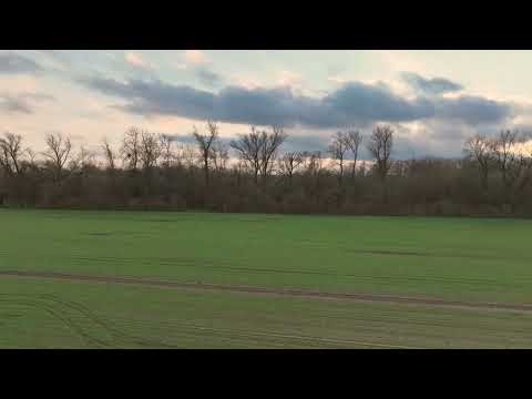 Piotr Komosiński & Jerzy Mazzoll - Listopad 2