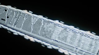 urika’s bedroom – “XTC”