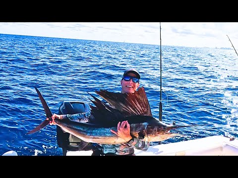 You Won't Believe How Easy It Is to Catch Sailfish