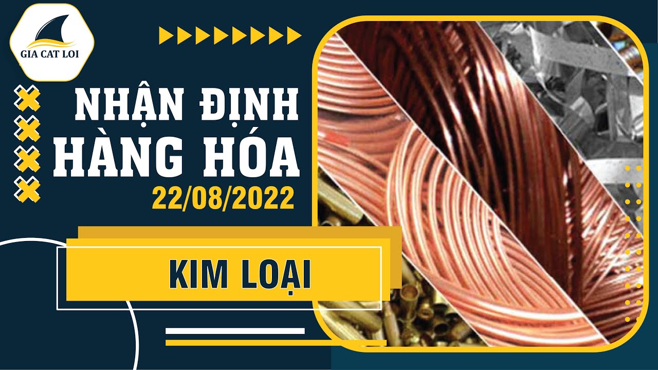 Nhận Định Thị Trường Kim Loại Ngày 22/08/2022