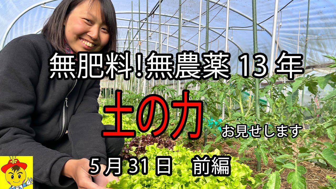 肥料も堆肥も使わず13年。土の力だけで育つ5月の畑とハウス栽培