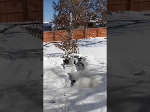 January 1st 2019 Mid Day Fountain 1