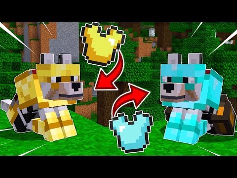 ELMAS KURT VS ALTIN KURT! KURTLARA SET NASIL GİYDİRİLİR? - Minecraft