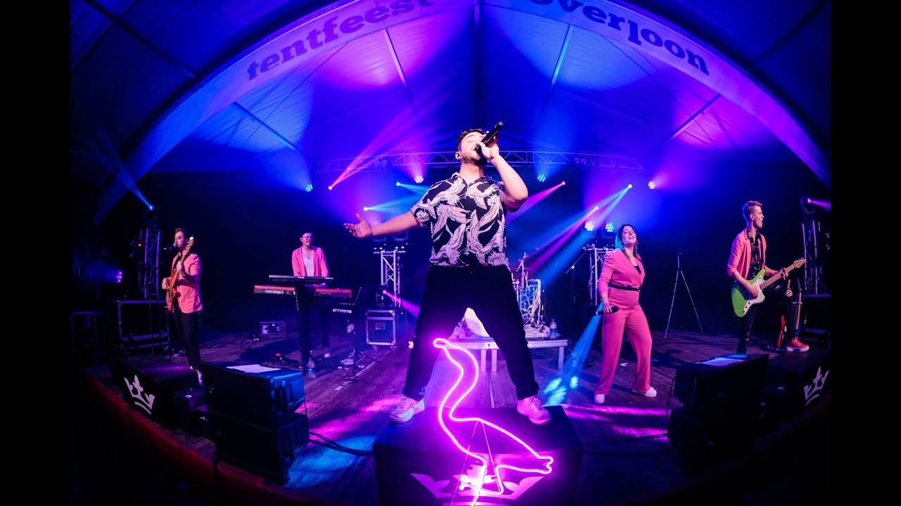 First Class Flamingos