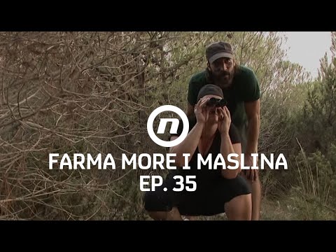 Špijunaža i sabotaža - Epizoda 35 | Farma More i Maslina
