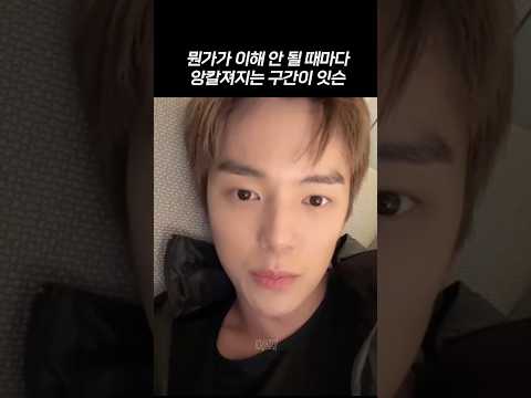 완전 말티적 특성이라고 볼 수가 있지