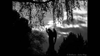 paradigma(norway)- half(1996)