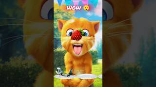 Talking Ginger 🍓🍓🍓🍓#shorts #talkingginger