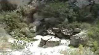 preview picture of video 'Sulpher water  spring near Namal Dam in Salt Range Mountains- By www.namalvalley.com'