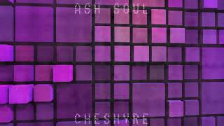Cover art for Ash Soul