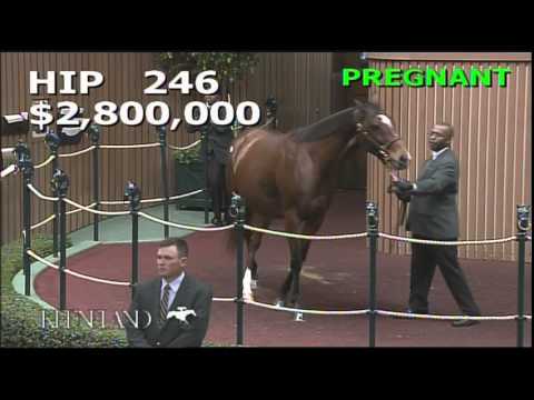 2014 November Breeding Stock Sale: Hip 246 - Aloof