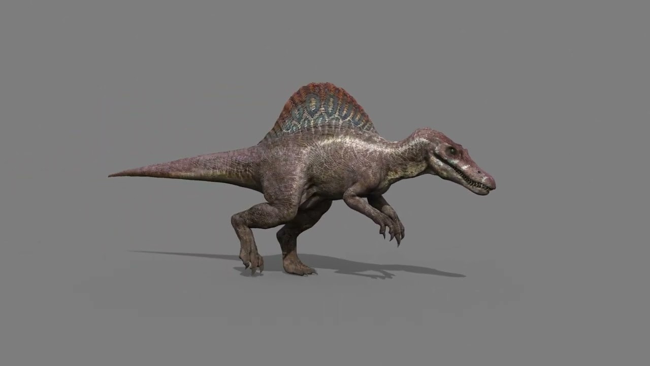 Suchomimus Mongolica - 8K animated JP3 Spinosaur 3D Model