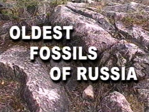 Oldest fossils of Russia