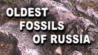 Oldest fossils of Russia