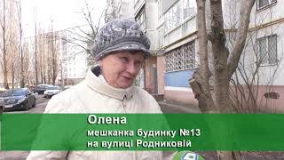 У Харкові котів замурували в підвалі