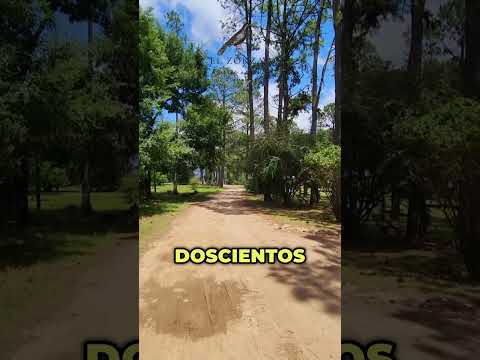 LOTES EN VILLA YACANTO (CORDOBA) | VISTAS AL CERRO