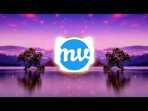 DubVision vs. Whitney Houston - Follow Your Heart vs. I Wanna Dance With Somebody