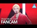 [예능연구소 직캠] TAEMIN - WANT (Vertical ver.), 태민 - WANT @Show Music Core 20190216