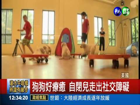 狗狗好療癒 自閉兒走出社交障礙