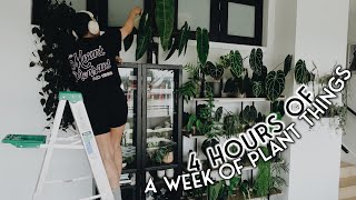 📣 this is NOT a drill 📣 4 HOURS of plant to-do's #018 / the longest plant video on youtube? 😅