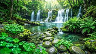 Healing Music for Mental Relaxation 🌿 Calm Your Thoughts, Reduce Anxiety and Restore Inner Peace #10