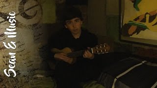 Guitalele Cover - Ant Farm by Eels