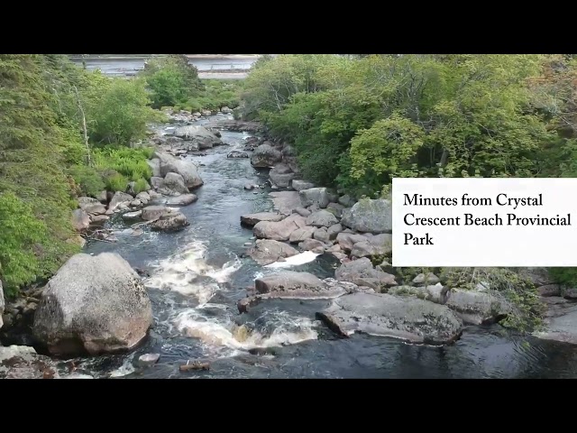 Trail Video Preview