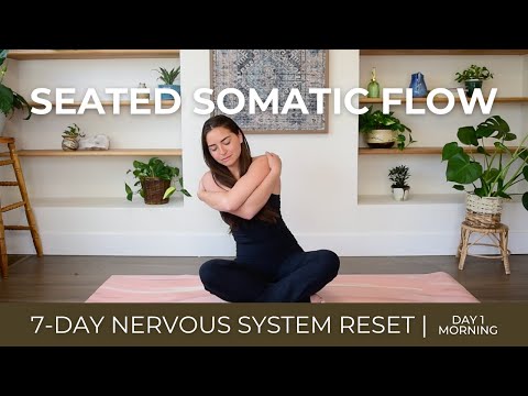 Seated Somatic Flow | Nervous System Reset Day 1 - Morning