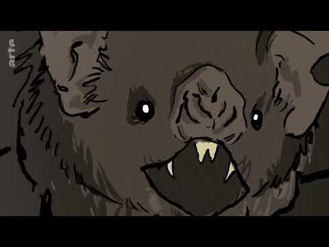 Von Tieren und Hexen: Unheimlicher Teich Doku (2019)