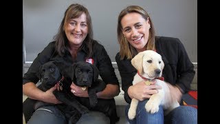 Youtube thumbnail for Jenny May visits the NZ Blind Foundation Guide Dogs Breeding & Training Centre