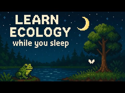 Ecology for Beginners | Sleep Learning Lecture