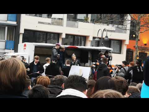 CDU-Fake-News und Ansprache von Lisa Steinmann von SPD auf der Artikel13-Demo 23.03.2019 Köln