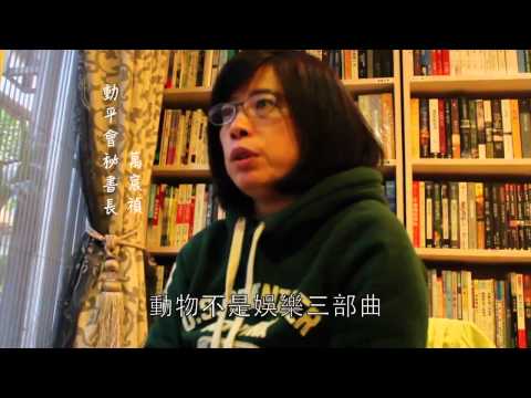 動平會拍動物農場紀錄片 盼提升動物權