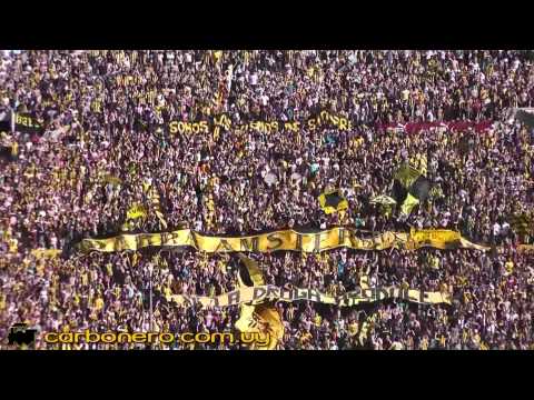 "Peñarol - Barra Ãmsterdam (Gilda - No me arrepiento de este amor)" Barra: Barra Amsterdam &bull; Club: Peñarol