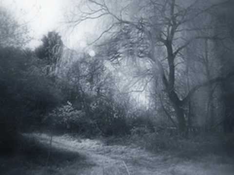 Bob Carpenter : Gypsy Boy