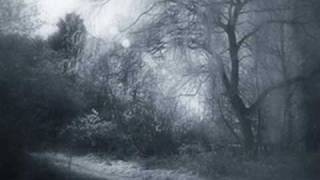 Bob Carpenter : Gypsy Boy