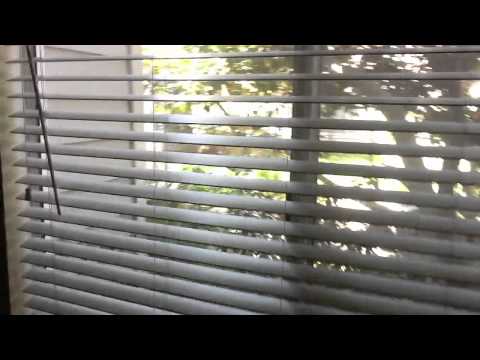 2bed. 2 bath in Torrance