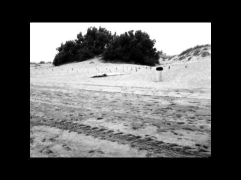 BABYLONIA "DIAS DE LLUVIA" (unofficial promo video)