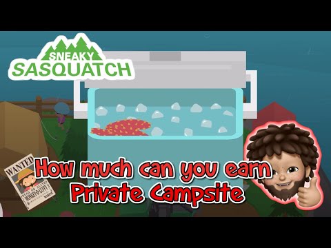 Sneaky Sasquatch - How much can you earn for Private Camp