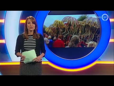 GLD Nieuws 8 april 2016