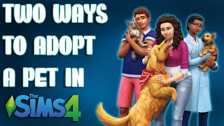 Two Ways to Adopt a Pet in The Sims 4 | How to Adopt Cat or Dog in 30 Seconds 2024